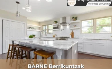 BARNE Berrikuntzak