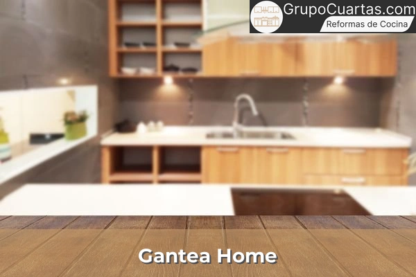 reformas gantea home